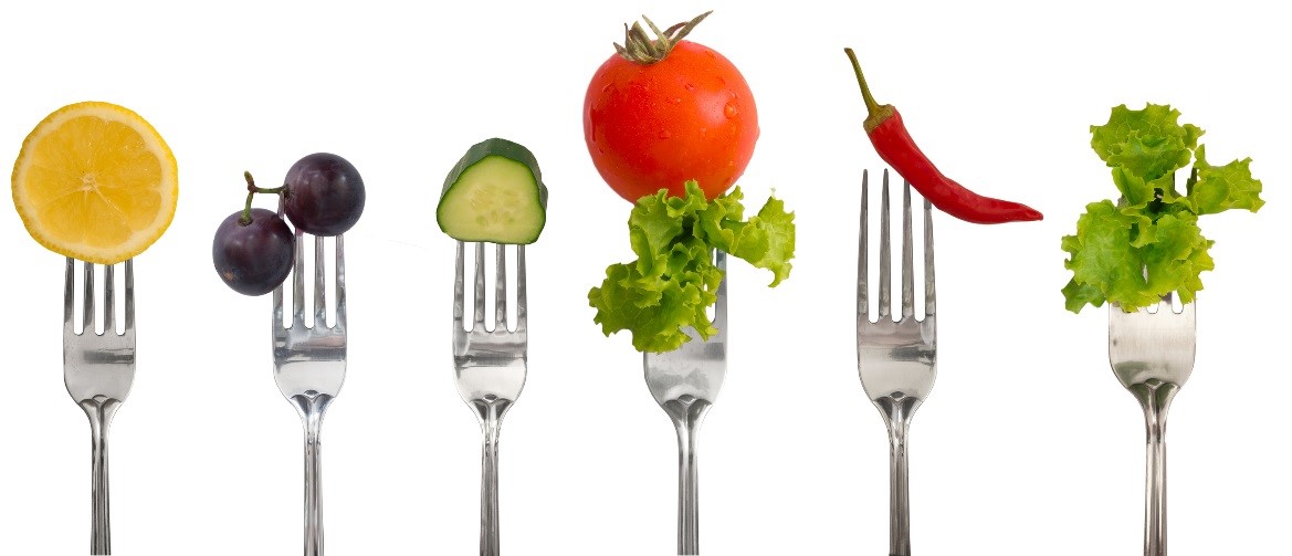 Food Science and Nutrition