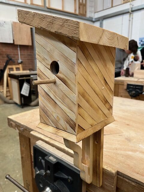 Featured image for “Bird Box Competition”